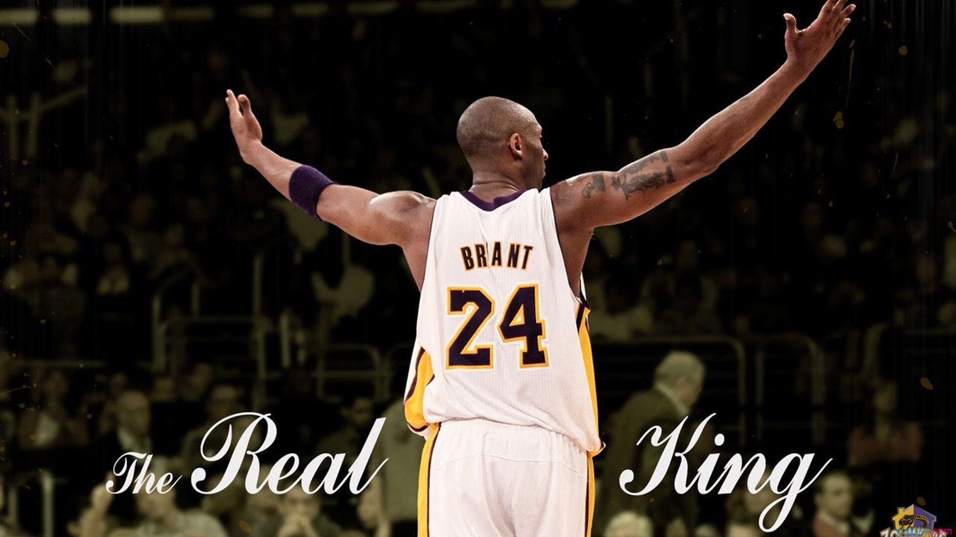 鹈鹕争冠战，班凯罗的觉醒与灰熊的黄昏